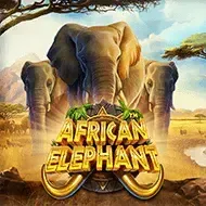 African Elephant game screenshot